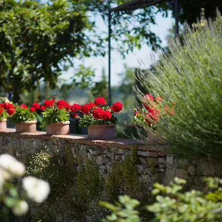 Ancora Del Chianti